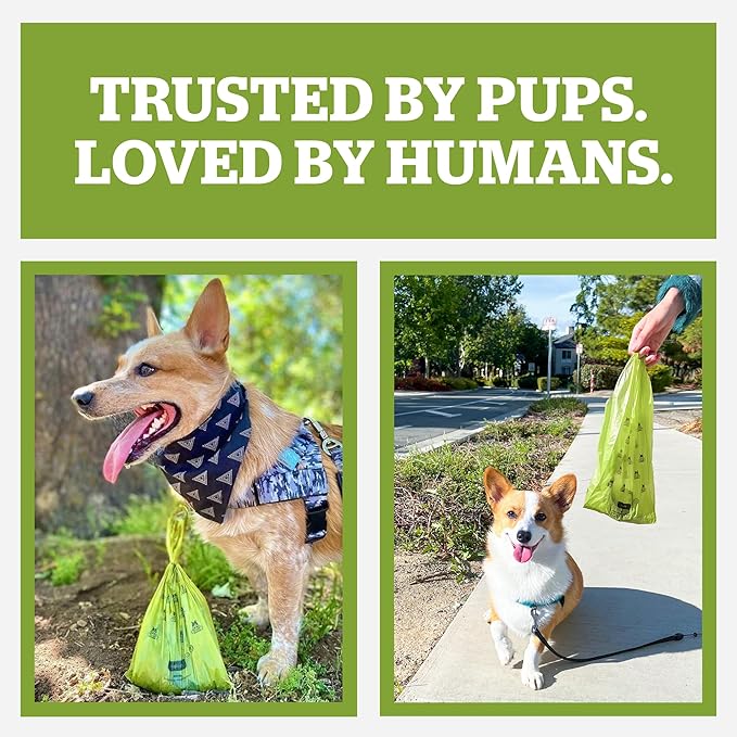 Pogi’s Dog Poop Bags – Leak-Proof & Extra Thick Pet Waste Bags (Unscented, 60 Rolls, 900-Count)