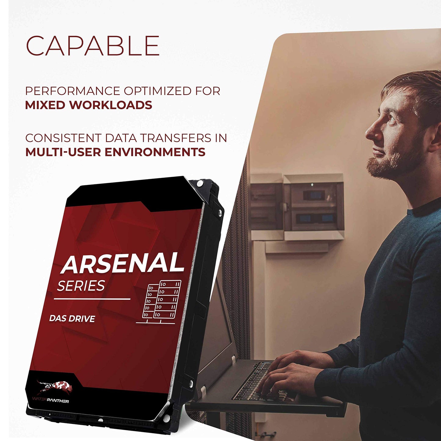 Water Panther Wp Arsenal 12Tb Sas 12Gb/S 7200Rpm 3.5-Inch Das Hard Drive