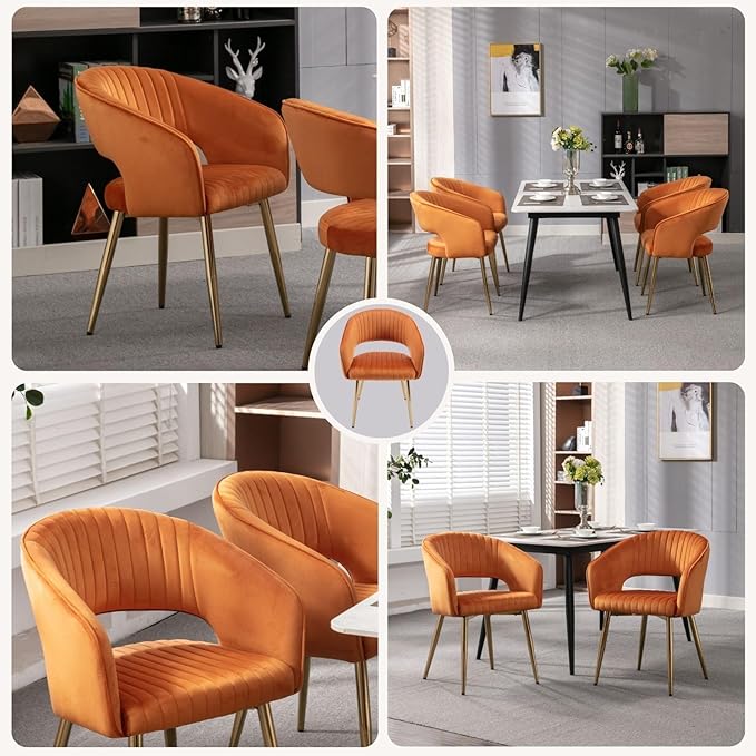 COMULER Orange Velvet Dining Chairs Gold Legs, Modern Dining Room Chairs with Arms Set of 2 Upholstered Accent Chair Armchair with Barrel Back for Kitchen Living Room