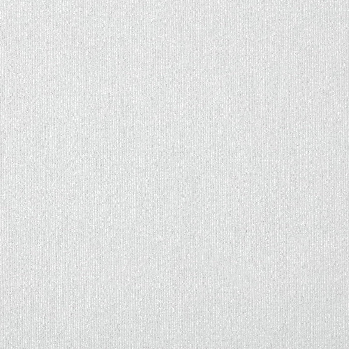 Centurion Deluxe Professional Oil Primed Linen Stretched Canvas, 11oz Linen, 12x24 - Box of 6, 0.67" Deep Canvases, Kiln-Dried Stretchers, Back Stapled, Premium Medium Weight Canvas for Oil Paintings