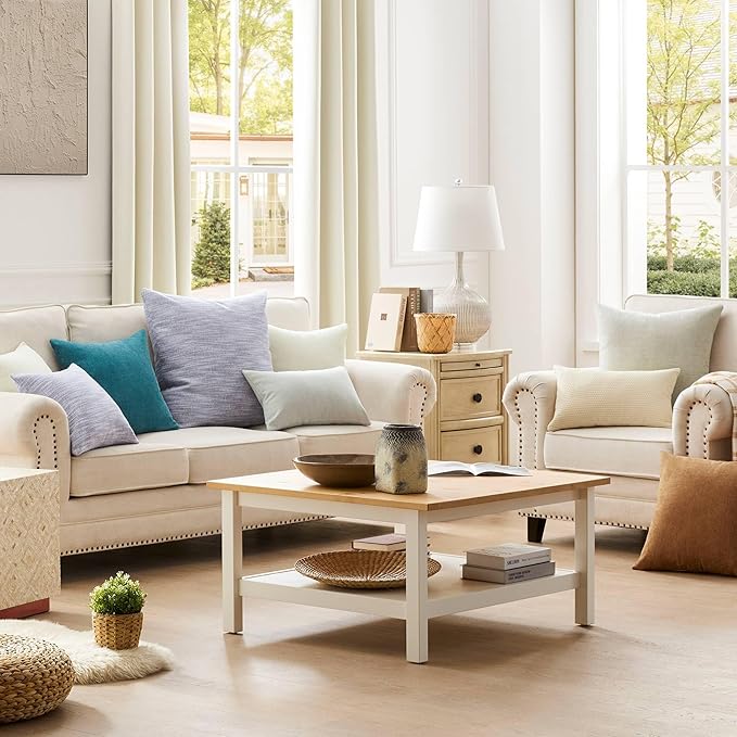 puredown® 28 x 28 Feather Down Throw Pillow Insert, 1 Pack Euro Pillow for Decorative Bed Cushion Couch Sofa