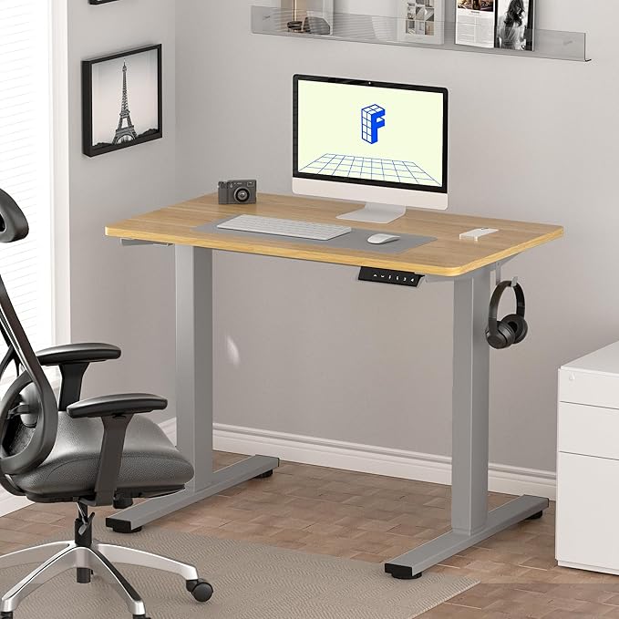 FLEXISPOT EN1 One-Piece Adjustable Desk 40 x 24 Inches Stand Up Desk Electric Height Adjustable Standing Desk with Seamless Desktop (Silver Frame + 40 inches Natural Top, 2 Packages)