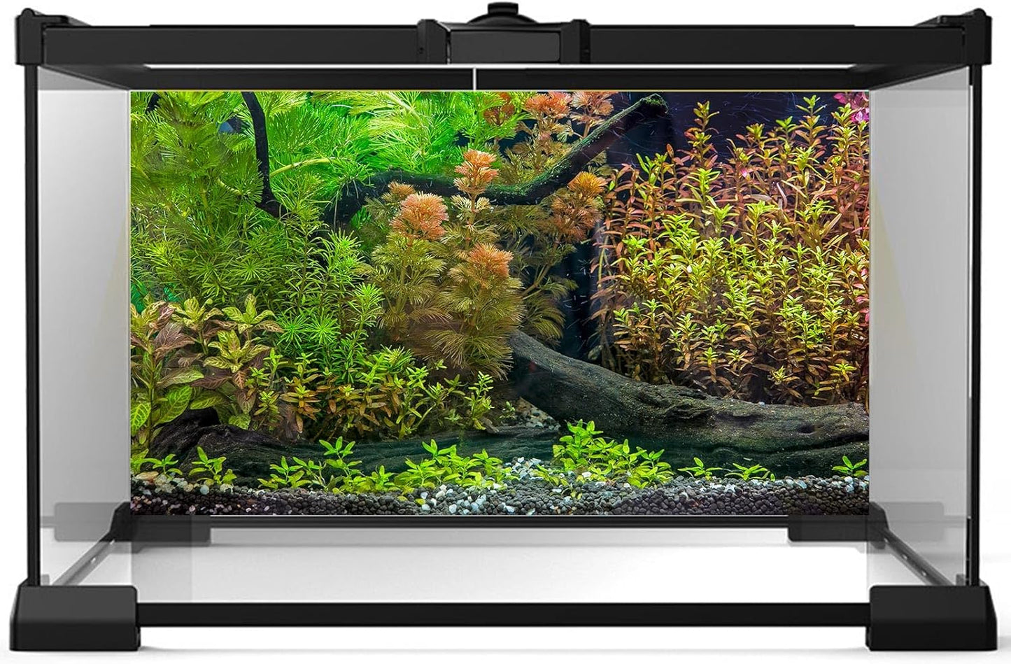 Aquarium Backdrop Underwater Grass Leaves with Pebbles Exquisite Aquarium Background Vivid Green Aquatic Plant Stone River Bed Fish Dead Wood Fresh Leaves Tank Background Decors Vinyl 72x18in