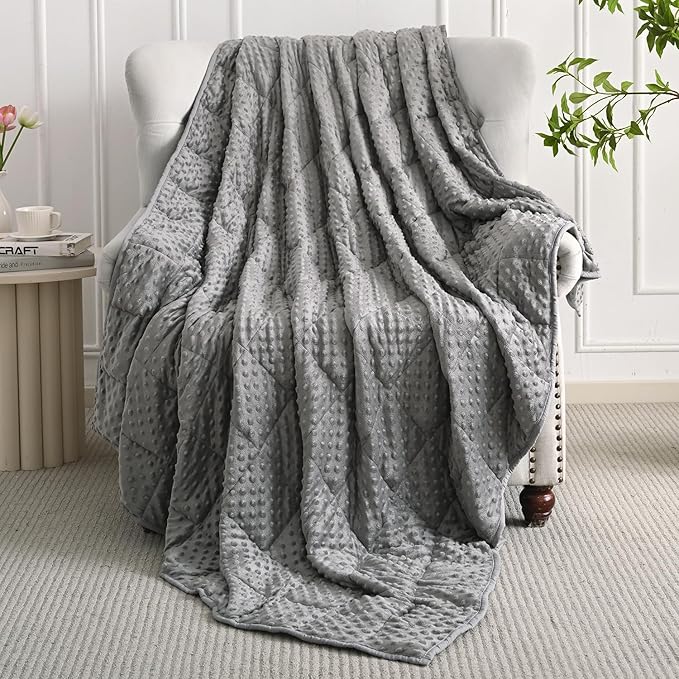 Mr. Sandman Weighted Blanket for Adults Queen, Minky Dots Heavy Blanket for Woman,Man Sleeping/Calm, Soft, Cozy and Cooling Weighted Throw Blankets, Machine Washable, 80 x 87in, 15 Pounds, Grey
