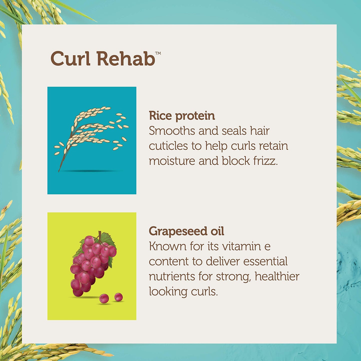 Curl Rehab Length Retention/Strength Treatment 2 in 1 Shampoo Conditioner, Enriched with Rice Water & Grapeseed, For Hair Growth