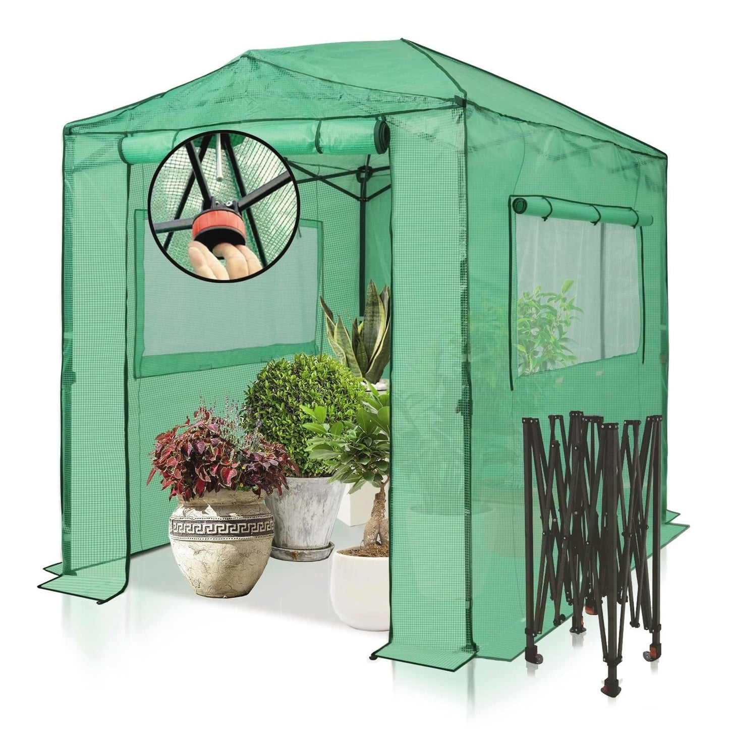 EAGLE PEAK 8x6 Portable Walk in Greenhouse, Pop Up Indoor Outdoor Greenhouse, Green House Kit with Zippered Roll-Up Doors and Windows, PE Cover, Clear/Green