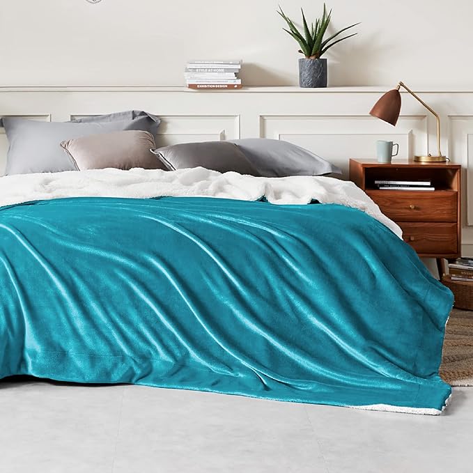 Bedsure GentleSoft Sherpa Fleece Blankets Queen Size for Bed - Thick and Warm Throw for Women and Men, Soft Fuzzy Plush Queen Blanket for Winter, Non-Heated, Teal, 90x90 Inches