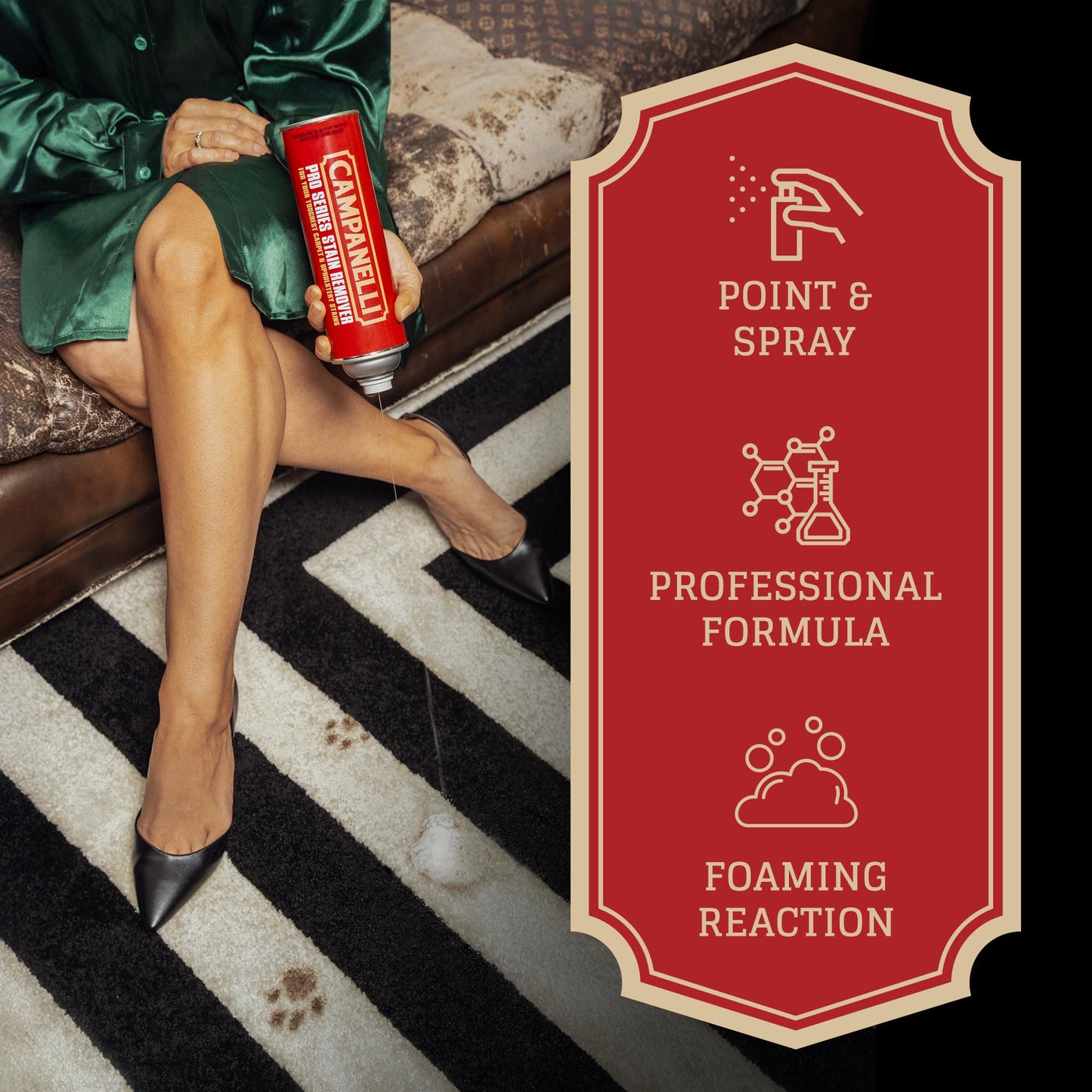 CAMPANELLI Pro Series Stain Remover Spray | Precision Point & Spray Carpet Cleaner for Pet Stains and Odors - Spot Remover for Carpets, Fabrics, Upholstery & Household Spills | 18oz Aerosol