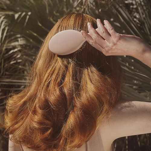 dae Signature Duo & Brush Set (Shampooo + Conditioner + Brush)