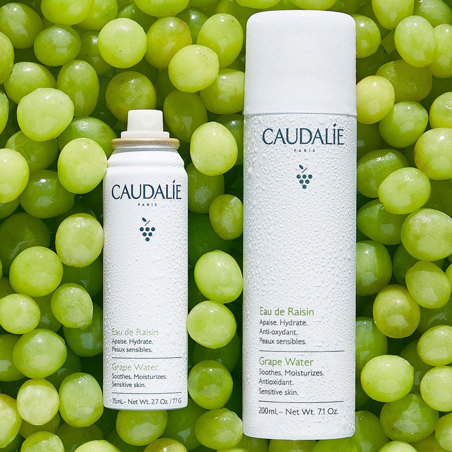 Caudalie Grape Water Moisturizing Face Mist Travel Size - 75 mL