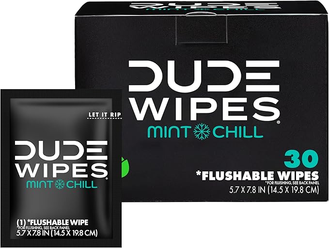 DUDE Wipes On-The-Go Flushable Wipes - 1 Pack, 30 Count - Mint Chill Extra-Large Individually Wrapped - with Eucalyptus & Tea Tree Oil - Septic and Sewer Safe