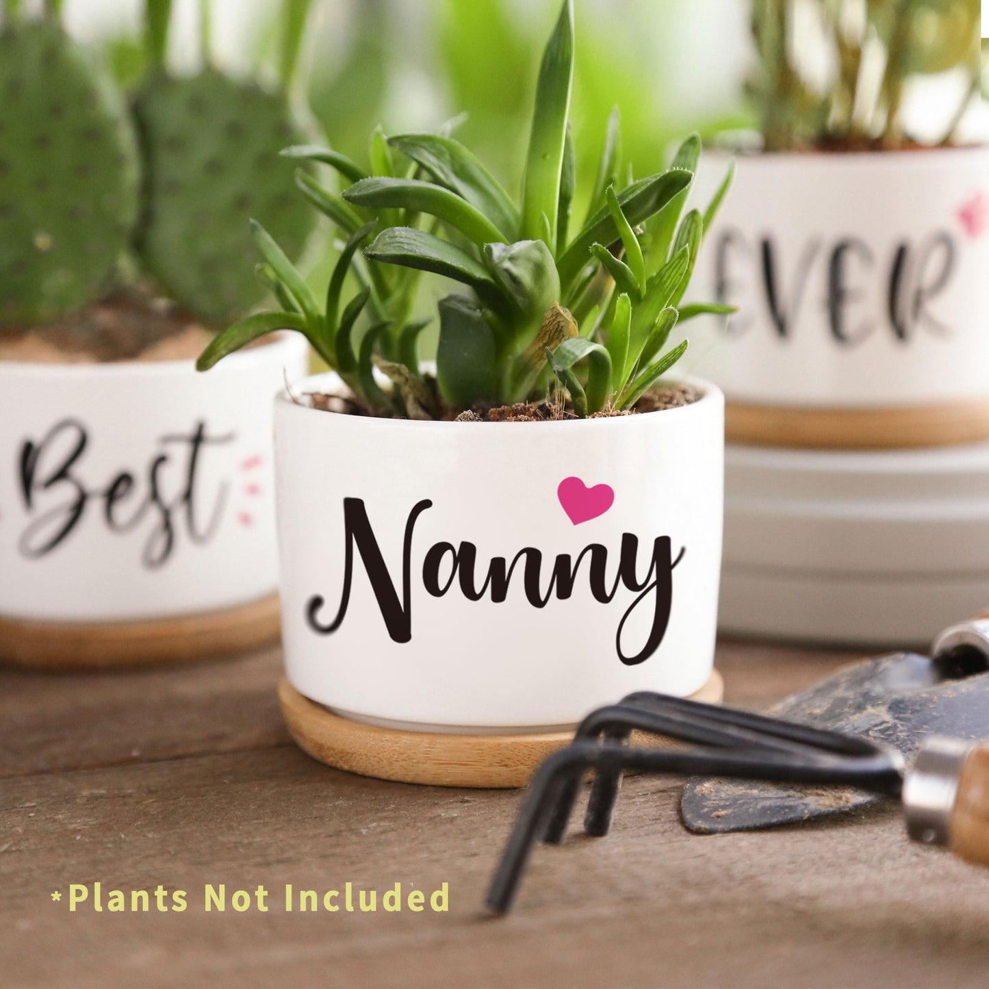 AceThrills Nanny Gifts for Birthday, for Nanny from Grandkids, Unique Present on Thanksgiving Christmas - 3 Pcs 3.15" Succulent Pots with Bamboo Tray