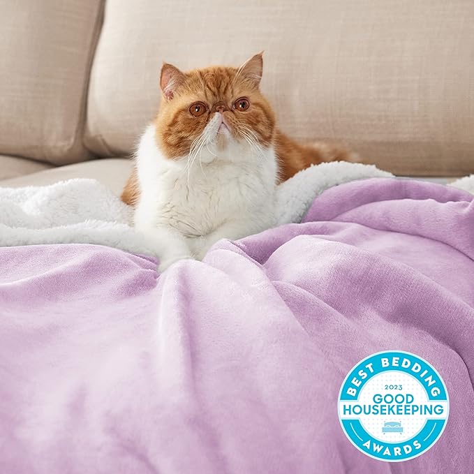 Bedsure GentleSoft Sherpa Fleece Throw Blanket Twin Size for Couch - Thick and Warm Throw for Girls and Women, Soft Fuzzy Plush Twin Blanket for Winter, Non-Heated, Lilac, 60x80 Inches