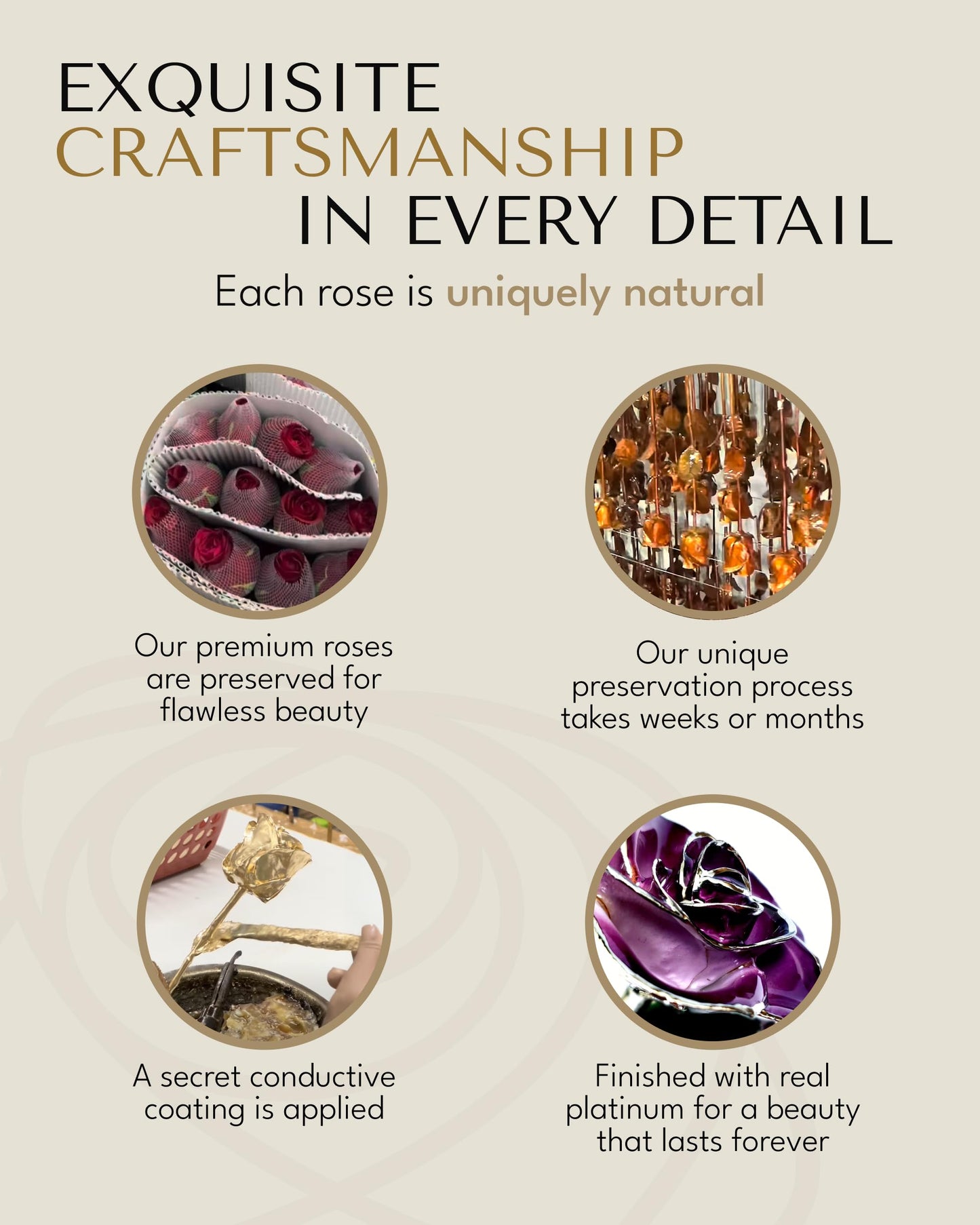 Forever Rose Real 2-Tone Purple Rose with Platinum Trimmed Petals and Platinum Stem, Handcrafted Preserved Rose in Luxury Gold Gift Box, Romantic Gift for Her, Elegant Gift for Any Occasion
