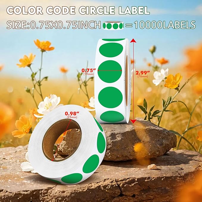 ‎‎WANSTE 10Rolls 10000PCS 0.75 Inch Small Green Sticky Tags, Permanent Sticky Dot Color Code Labels in Dispenser Box,Circle Blank Labels Total for Documents, Inventory,Calendars, CDs,Garage Sales