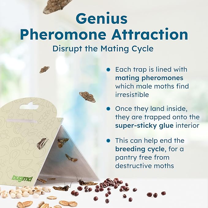 BugMD Pantry Moth Traps (18-Pack) – Pheromone-Based Sticky Glue Traps, Non-Toxic, Kills Indian Meal Moths – Kitchen & Food-Storage Safe - Original