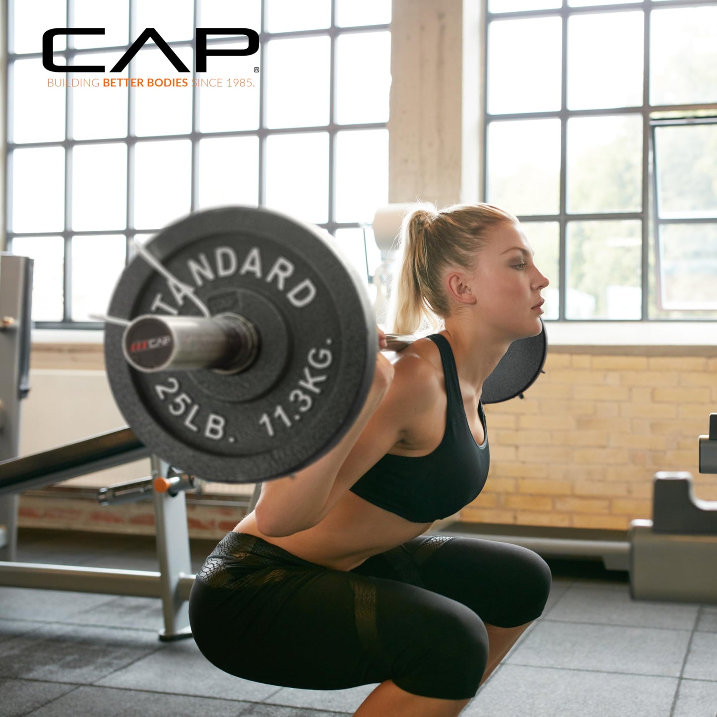CAP Barbell Olympic 2-Inch Weight Plate, Gray, 2.5 LBS - 6 Plate Set