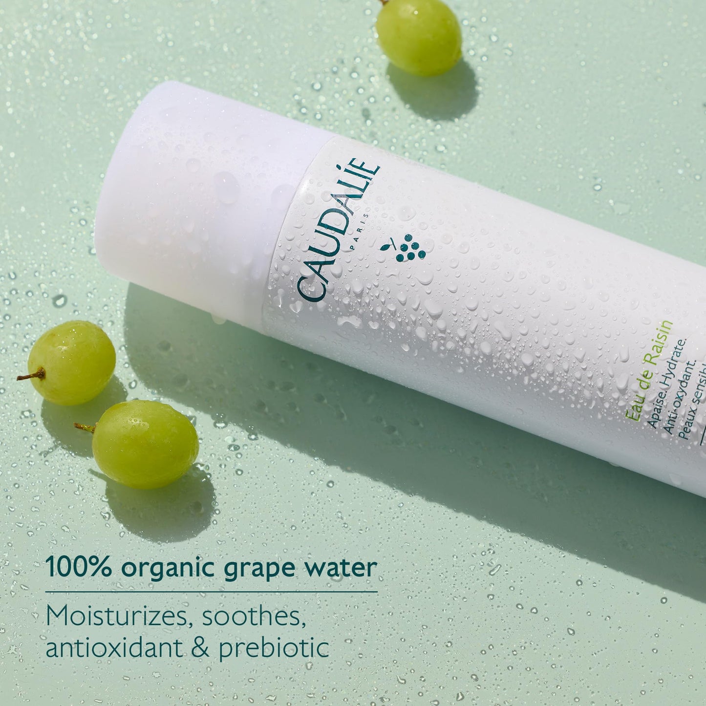 Caudalie Grape Water Moisturizing Face Mist Travel Size - 75 mL