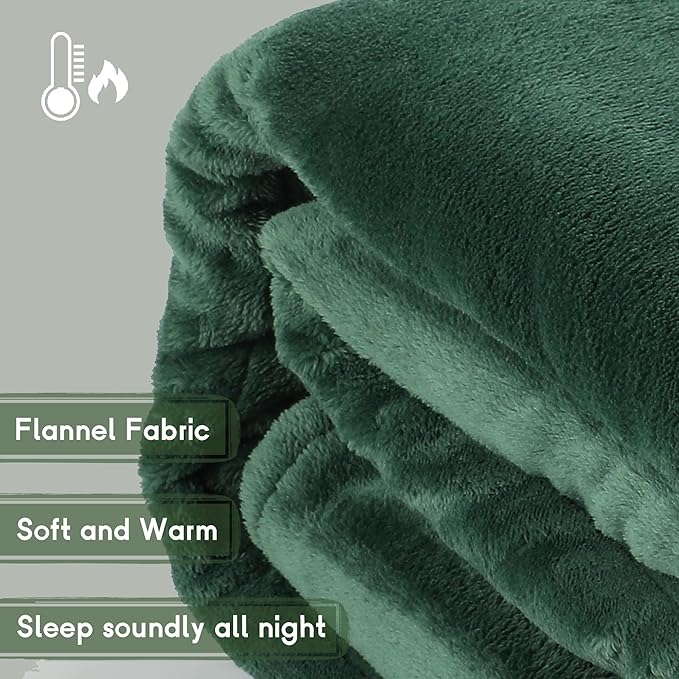 Heated Blanket Electric Blanket Queen Size 84''x90'' with 5 Heating Levels, 10 Hour Auto Shut Off, Machine Washable, Dual Controller Soft Warming Blanket for Couch, Bed, Office - Grass Green
