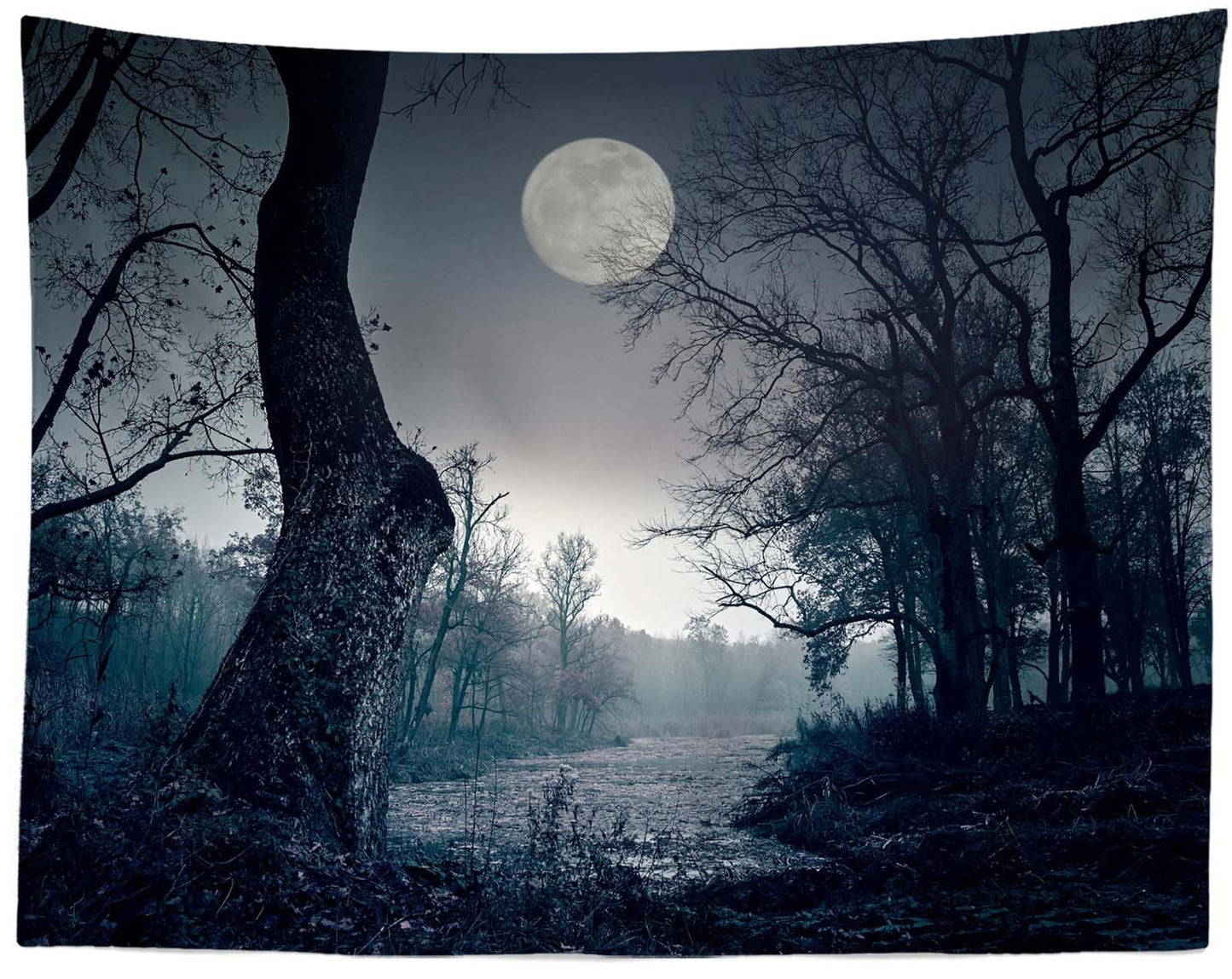 CORFOTO 7x5ft Dark Forest Backdrop Horrible Spooky Forest Night Photography Backdrop Halloween Full Moon Night Backdrop Halloween Eve Party Decor Backdrop Kids Photo Booth