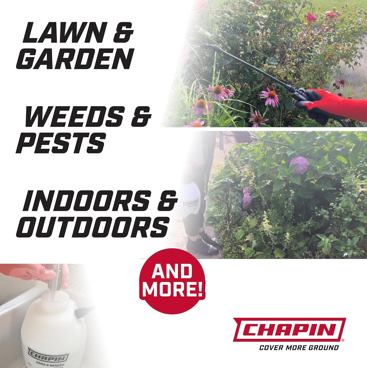 Chapin International 16109 1-Gallon Value Pack Lawn and Garden Pump Sprayer, Made in The USA, for Spraying Weeds, Insects, Fertilizers, 2-Pack, Translucent White