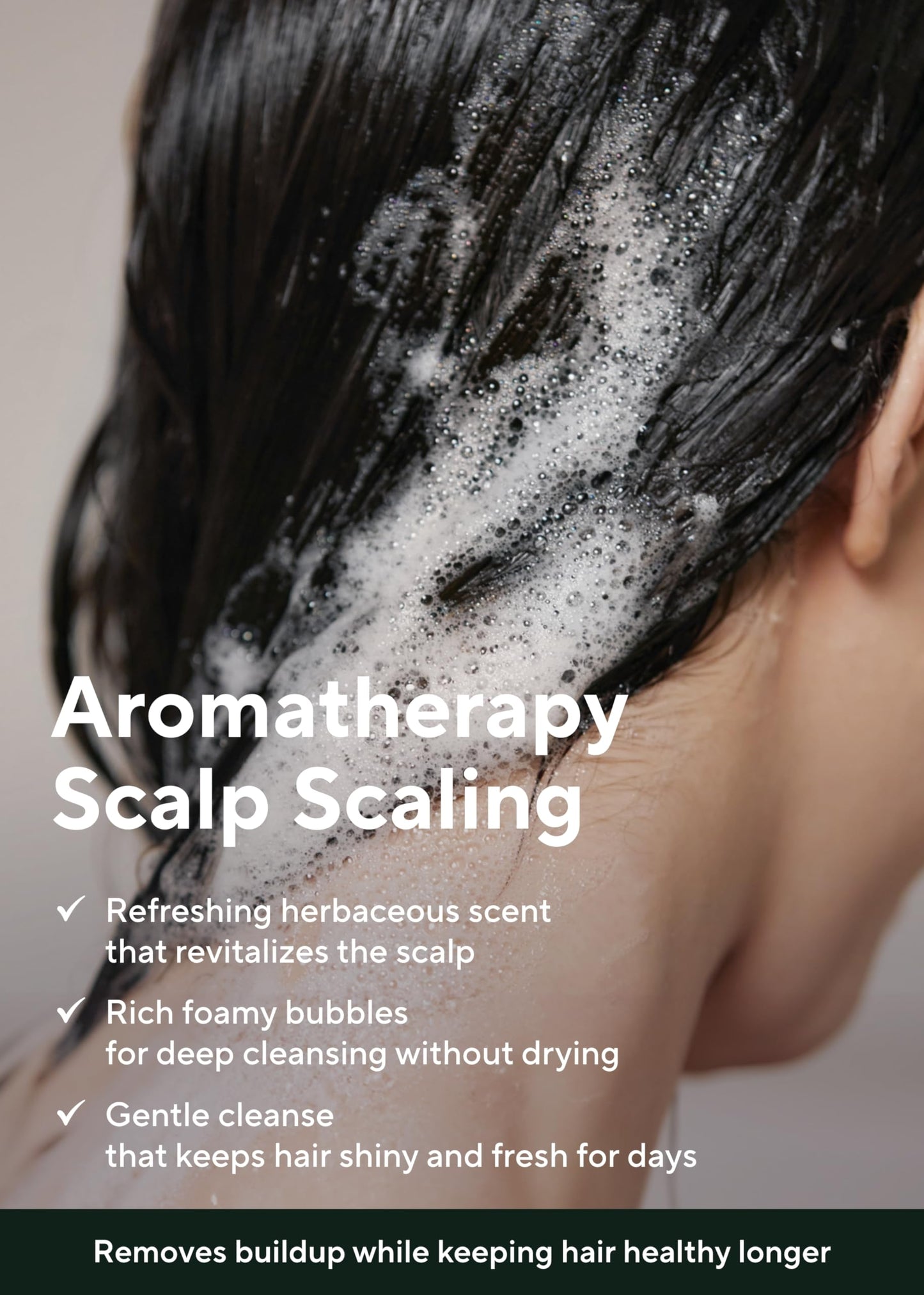 AROMATICA Clarifying Tea Tree Shampoo, Organic Tea Tree Oil, Natural, Dandruff, and Itchy Scalp Care, scalp exfoliator, for Men