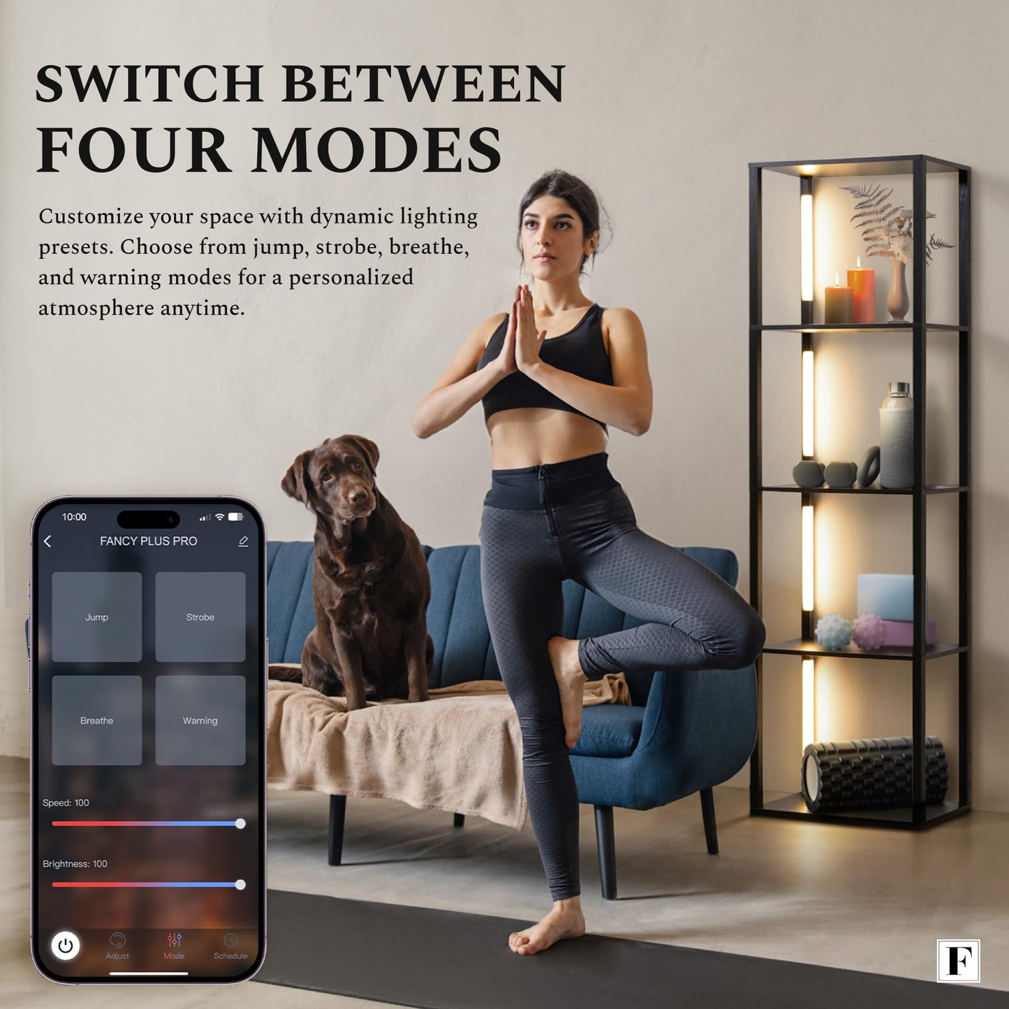 FENLO LED Floor Lamp with Shelves Fancy Pro, Dimmable Display Shelf Lamp with Color Temperature Control, App & Remote, Bright Long-Lasting Integrated LED