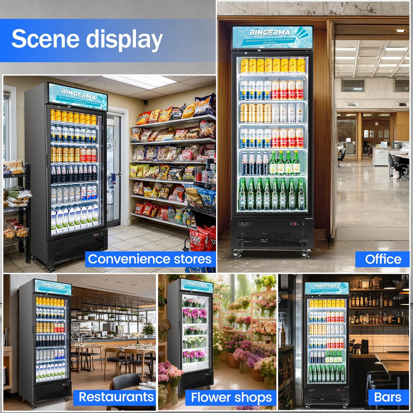 BINGERMA Commercial Beverage Refrigerator 15 Cu.ft. with Glass Door Display Merchandiser Fridge ETL Drink Cooler for Bars, Restaurants, Convenience Stores, Supermarkets and Offices