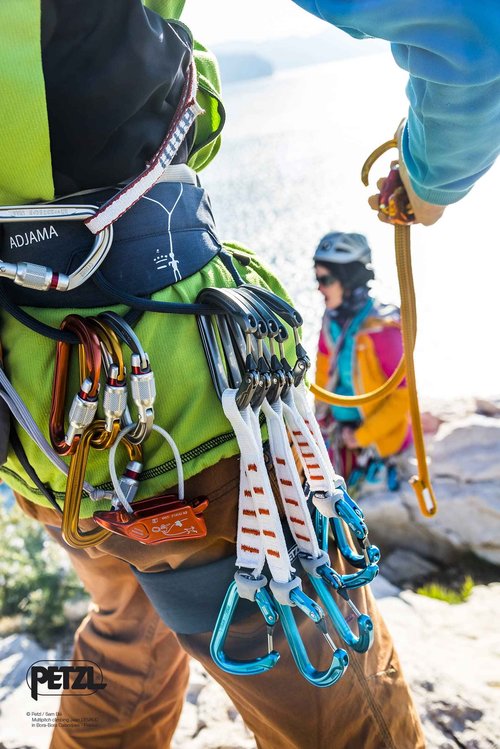 Petzl Sm'D Carabiner - Versatile, Lightweight, Compact, D-Shaped Locking Carabiner for Rock and Ice Climbing - Twist-Lock - 3-Pack