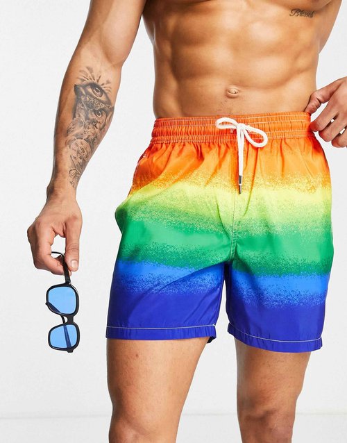 POLO RALPH LAUREN Men's Traveler Classic Swim Trunk (Rainbow, L)