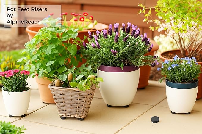 AlpineReach Extra Heavy Duty Pot Feet Risers 20 Pack & Adhesive Pads - Protect Healthy Plants - Strong Invisible Round Supports Small Large Flower Planters Stability - Outdoor Lifter Toes Elevator