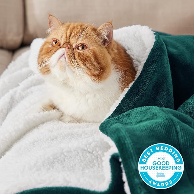 Bedsure GentleSoft Sherpa Fleece Blankets King Size for Bed - Thick and Warm Throw for Women and Men, Soft Fuzzy Plush King Christmas Blanket for Winter, Non-Heated, Forest Green, 108x90 Inches