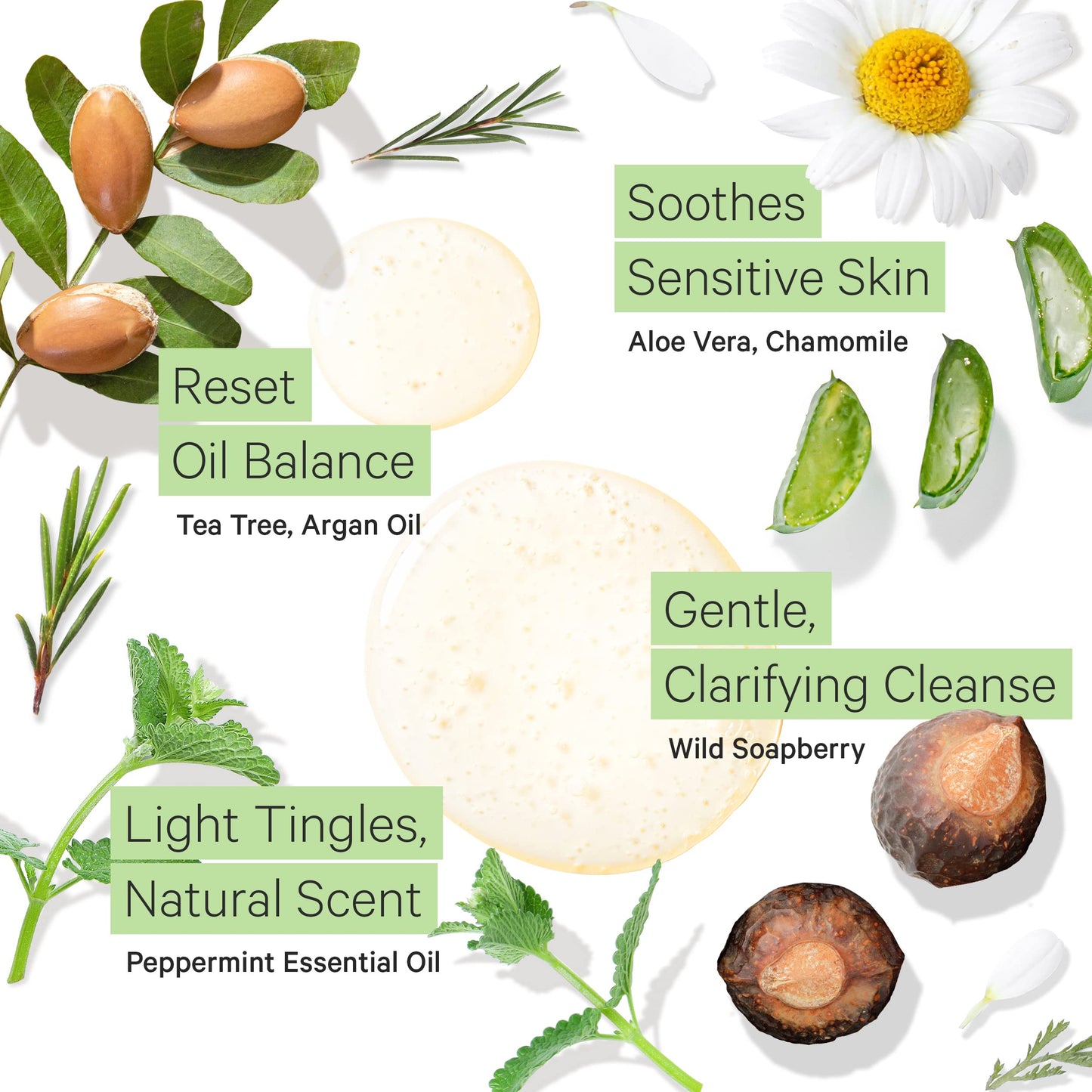 Tree to Tub Peppermint Shampoo for Oily Hair & Sensitive Scalp - Gentle Clarifying Shampoo for Build Up, Sulfate Free Anti Resid