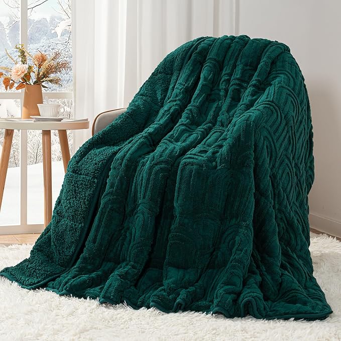 Cottonblue Jacquard Weighted Blanket for Adults 15 lbs Queen Size, Cozy Fluffy Sherpa Fleece Weighted Throw Blankets 60" x 80" for Sleep Relax, Fuzzy Warm Arch Heavy Blanket Soft for Bed Couch, Green