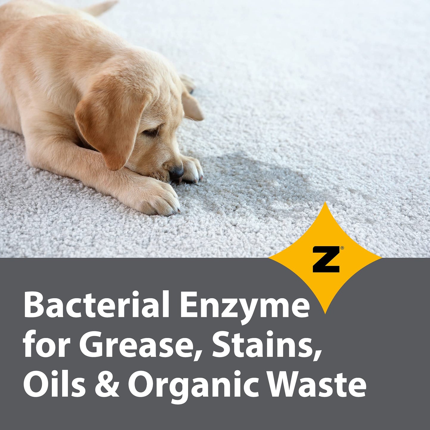 Zeiff Pro-Grade Multi-Purpose Probiotic Enzyme Cleaner - Pet Stain and Odor Remover, Drain Cleaner - Powerful Cleaning & Odor Eliminating Formula For Professional & Home Surfaces - 32 Ounce