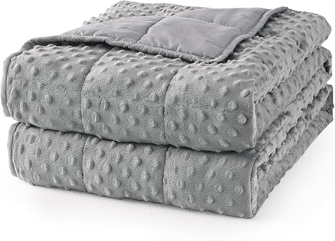 Mr. Sandman Weighted Blanket for Adults Queen, Minky Dots Heavy Blanket for Woman,Man Sleeping/Calm, Soft, Cozy and Cooling Weighted Throw Blankets, Machine Washable, 80 x 87in, 25 Pounds, Grey