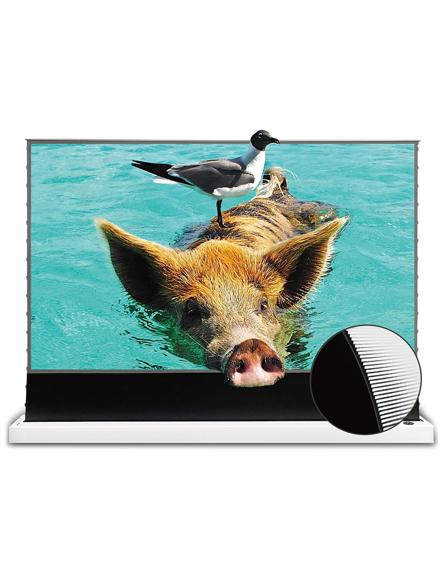 VIVIDSTORM Electric UST Projector Screen, Tensioned for Smooth Display, 4K/8K HDR Ready, Ideal for Home Theate,VWSDSTUST100H