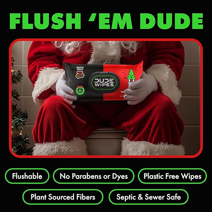 DUDE Wipes - Flushable Wipes Stocking Stuffers - 6 Pack, 288 Count - Dingle Bells - Extra Large with Crisp Pine, Balsam, and Other Jolly Scents