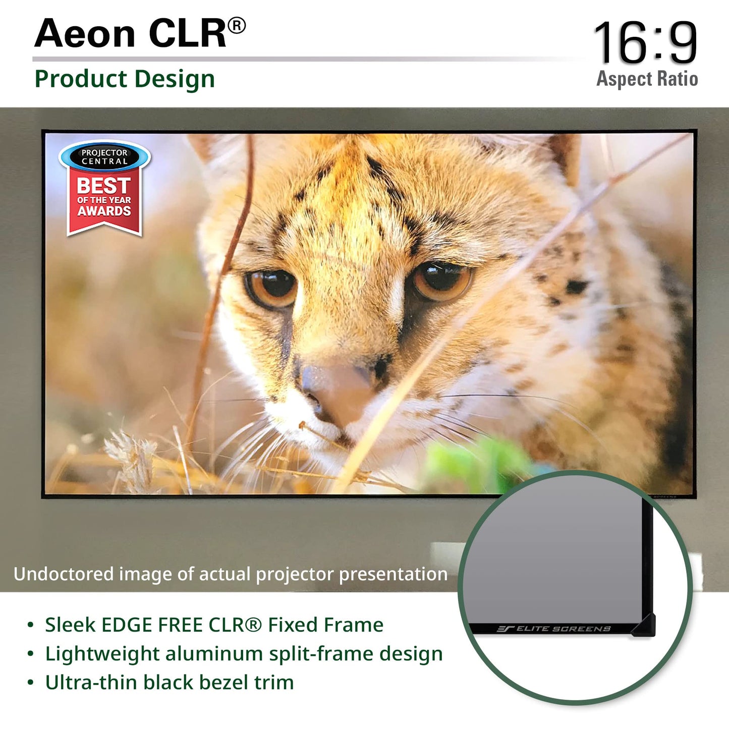 Elite Screens Aeon CLR 123-Inch ALR UST Projector Screen, 8K Edge-Free Fixed Frame, 95% Ambient Light Rejecting, Indoor Home Theater Movie Screen, Perfect for Ultra Short Throw Projectors, AR123H-CLR