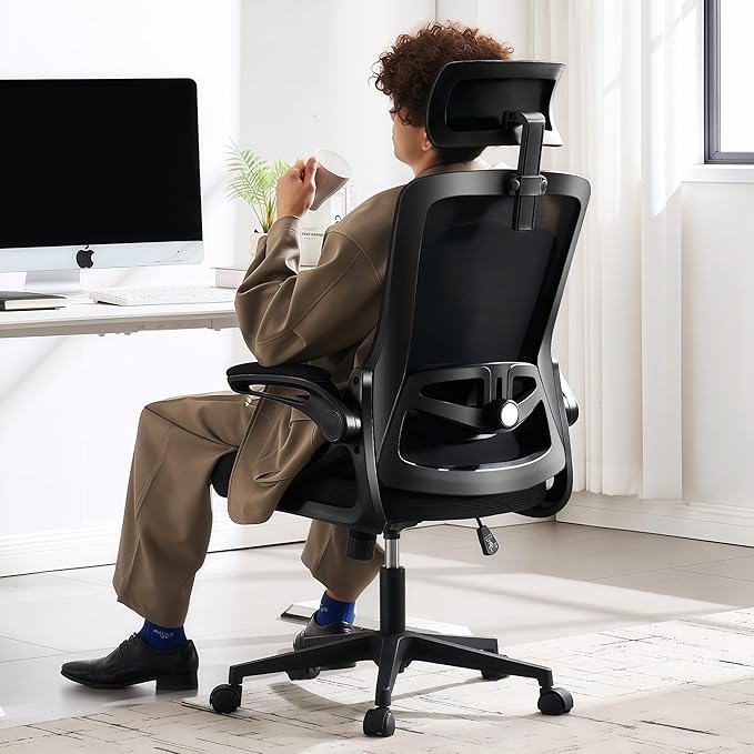 Fizzin Ergonomic Office Chair, 400 LBS Computer Chairs with Adjustable Lumbar Support, Breathable Mesh Desk Chair Ergonomi...