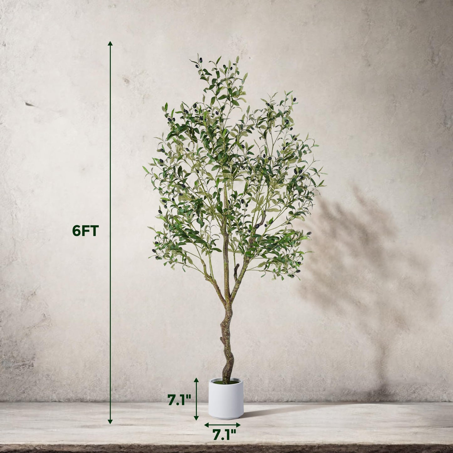 Jocoevol Artificial Olive Tree 6FT, Indoor Fake Silk Plant with Realistic Trunk, Leaves, Fruits and White Planter, Faux Potted Tree for Home Decor and Housewarming Gift, 1 Pack