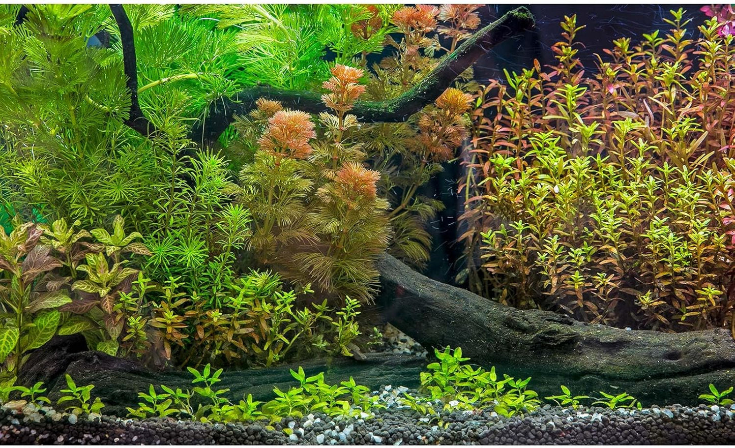 Aquarium Backdrop Underwater Grass Leaves with Pebbles Exquisite Aquarium Background Vivid Green Aquatic Plant Stone River Bed Fish Dead Wood Fresh Leaves Tank Background Decors Vinyl 36x20in
