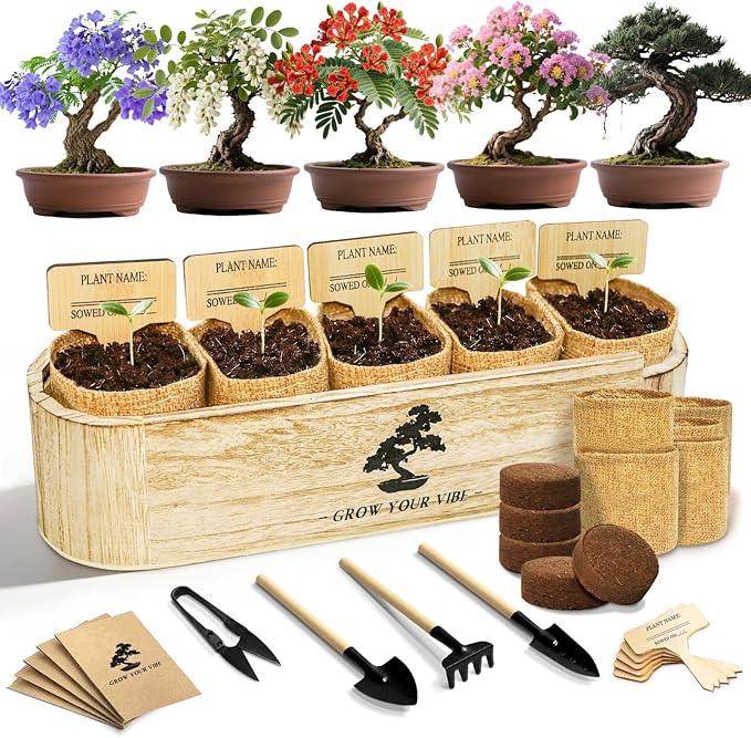 LUOJIBIE Bonsai Tree Kit for Beginners - Unique DIY Japanese Bonsai Trees,Crafts for Adults, Ideal Gardening Birthday Gift...
