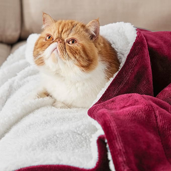 Bedsure GentleSoft Sherpa Fleece Blankets King Size for Bed - Thick and Warm Throw for Girls and Women, Soft Fuzzy Plush King Christmas Blanket for Winter, Non-Heated, Red, 108x90 Inches