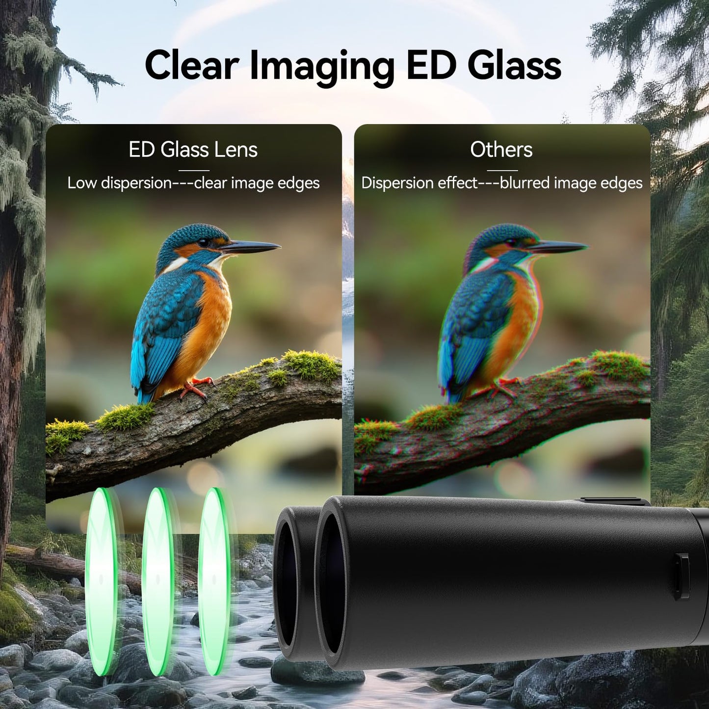 SVBONY Upgraded SV202 10x42 ED Binocular, Binoculars with Extra-Low Dispersion Objective Lenses for Birdwatching, BAK4 & FMC Optic System, 8°+Wide View Angle, IPX7 Waterproof for All-Weather Use