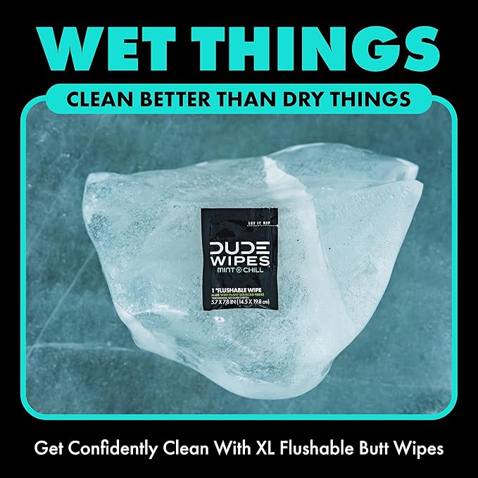DUDE Wipes On-The-Go Flushable Wipes - 1 Pack, 30 Count - Mint Chill Extra-Large Individually Wrapped - with Eucalyptus & Tea Tree Oil - Septic and Sewer Safe