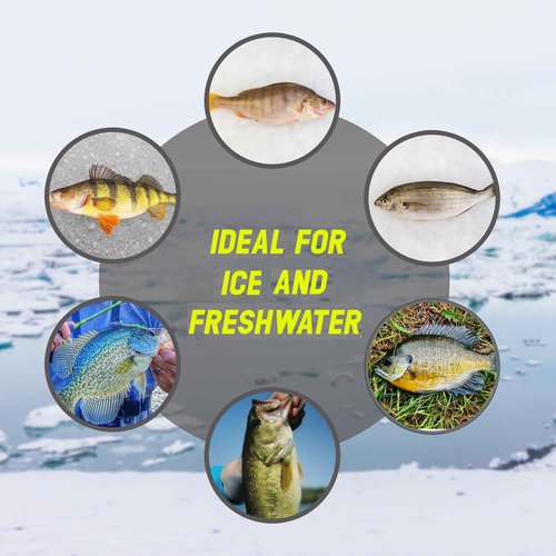 Reaction Tackle Tungsten Ice Jig 6mm - Variety kit 40pcs with Long Shank Hook