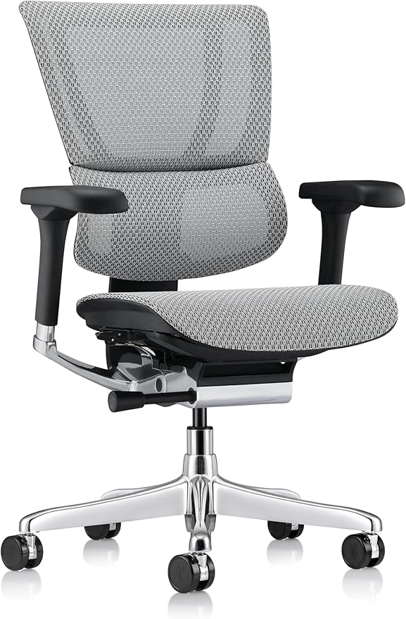 Ergohuman Eurotech ME3ERG-XTREME Mid Back Mesh Office Chair with Tilt Tension Control, Tilt Lock, Back Angle, Back Height, Synchro Tilt, Seat Height, Seat Depth, and Arm Height Adjustments, Grey