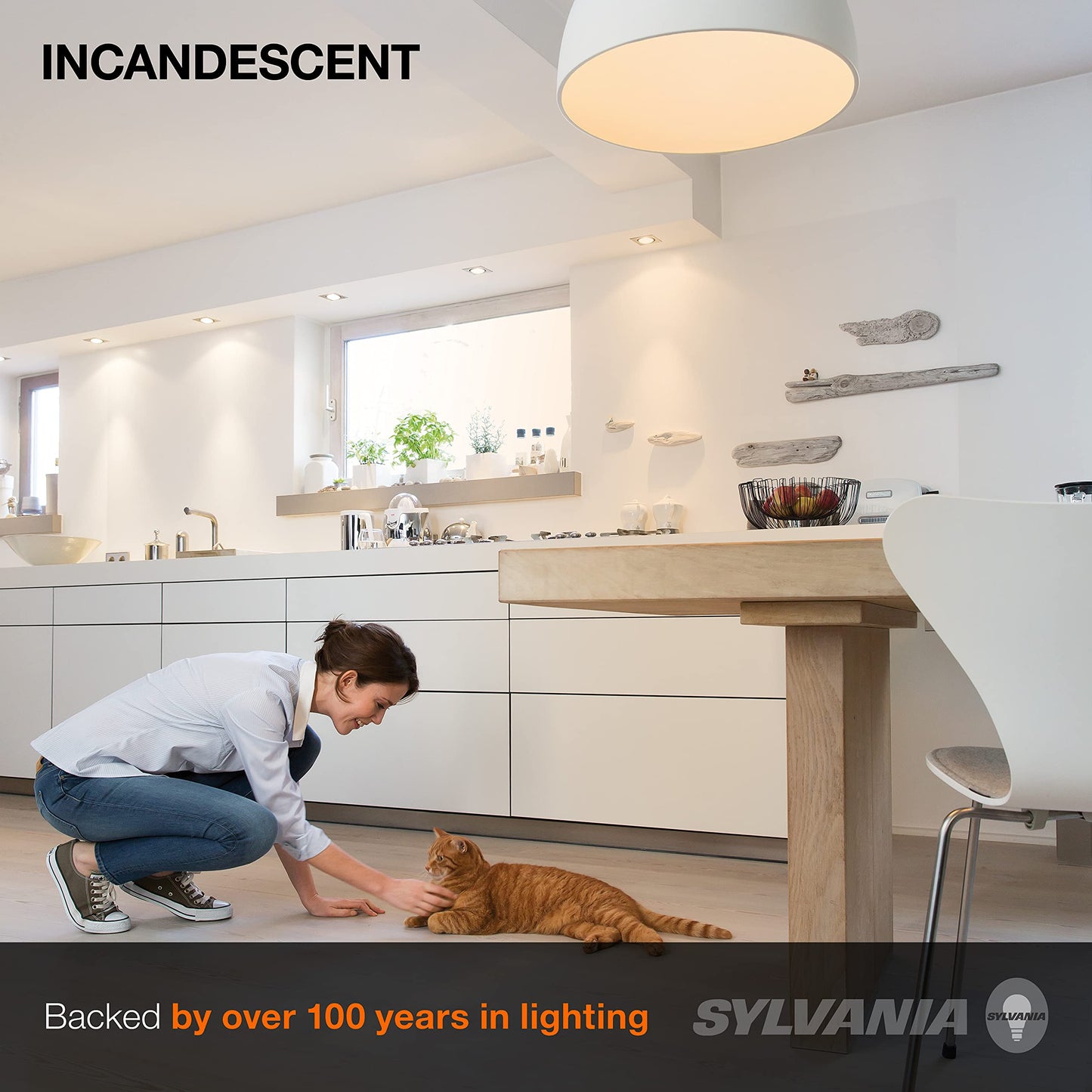 LEDVANCE Sylvania Incandescent Light Bulb, 25W A19, Dimmable, Medium Base, 160 Lumens, 2850K, Soft White - 2 Pack (10562)