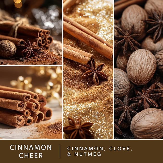 Scentsationals Fragrance Oil Plug in Air Freshener Refills 3-Pack - Cinnamon Cheer - Works with Scentsationals Wall Plugs, Long-Lasting Home Fragrance, 0.8 fl oz Each, Packaging May Vary